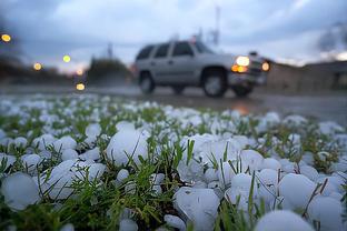 雷竞技app苹果版下载截图0